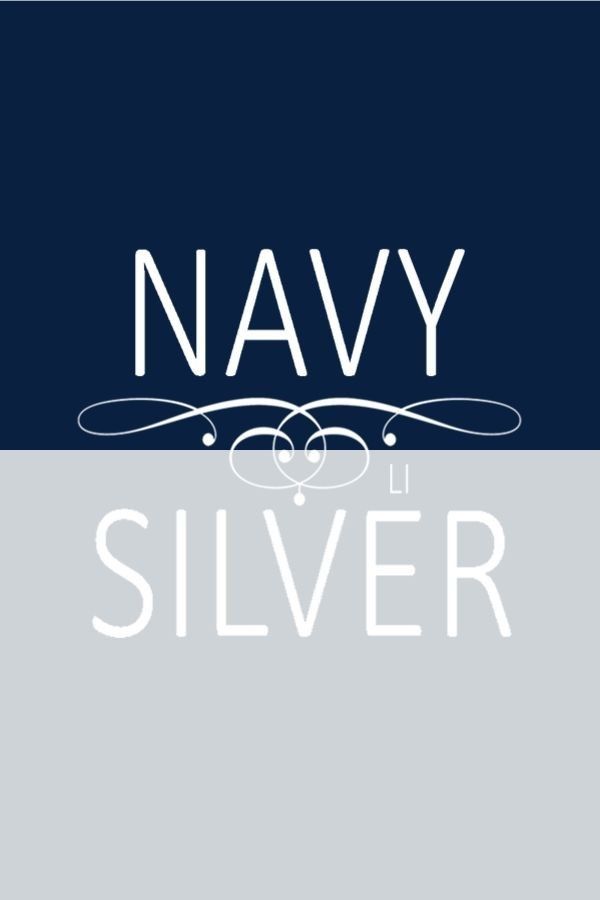 the navy and silver logo is shown