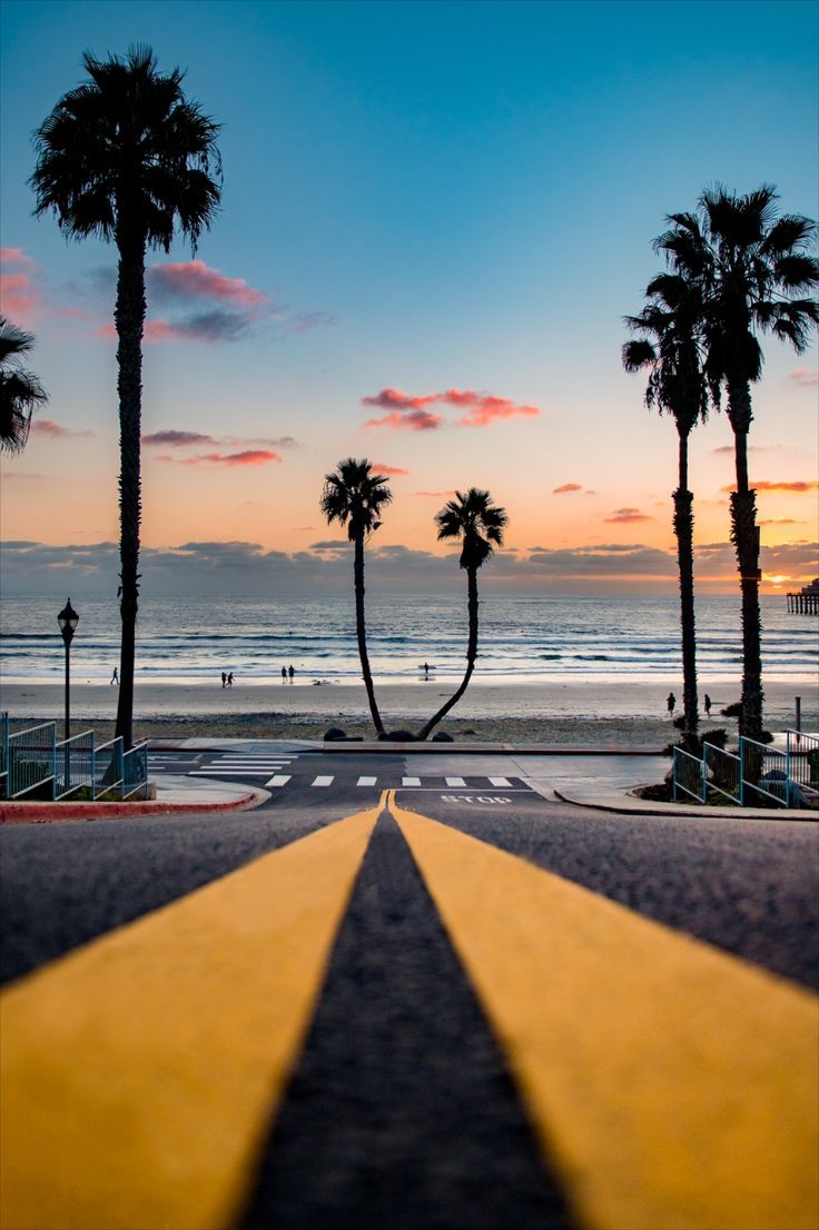 palm trees line the beach as the sun sets