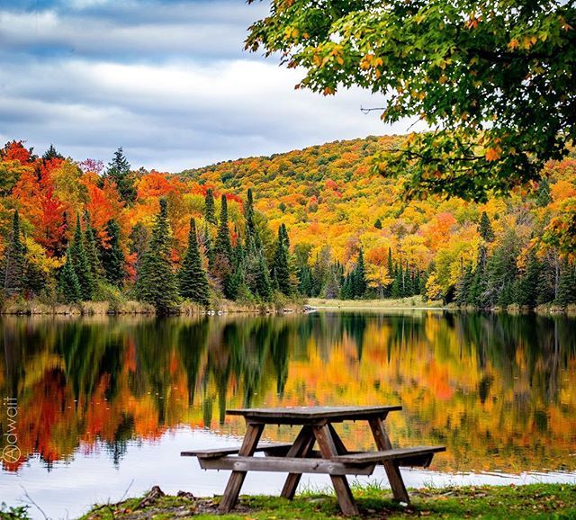 a picnic table sitting in front of a lake surrounded by trees with fall foliage on it