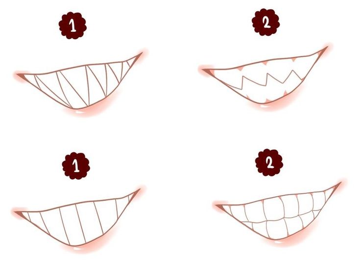 four different types of teeth with the number one on them, and two in the middle