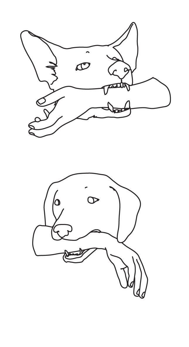 two drawings of hands holding a dog's head