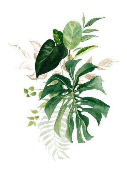 watercolor painting of green leaves on white background