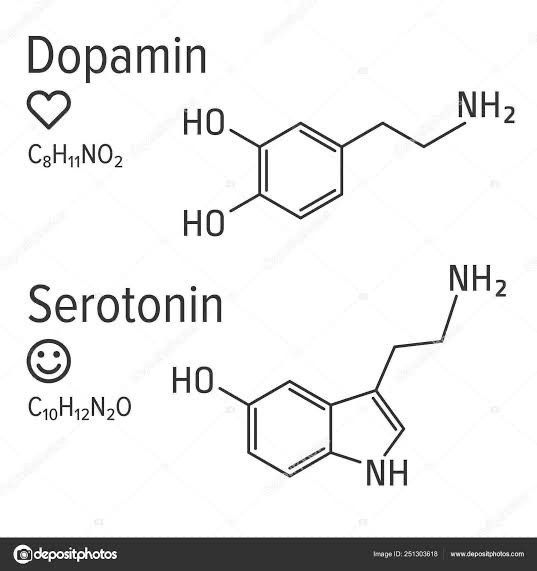 the structural structure of dopamin and serofonin, which are used in medicine