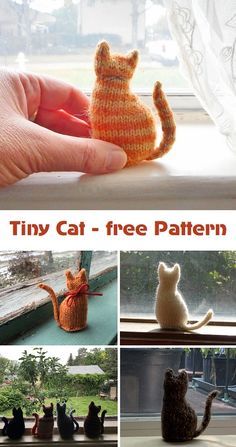 tiny cat - free crochet pattern is featured in this postcard with pictures of cats