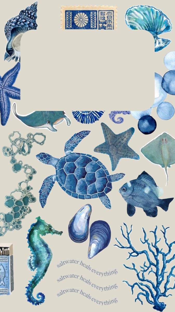 an image of sea animals and seashells