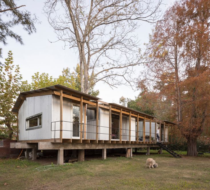 a dog is standing in front of a house that has been built on stilts