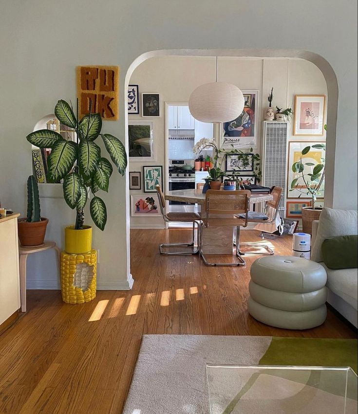 a living room filled with furniture and a plant