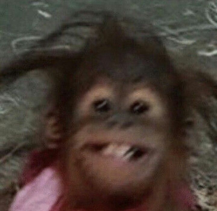 a blurry photo of an orangutan with its mouth open