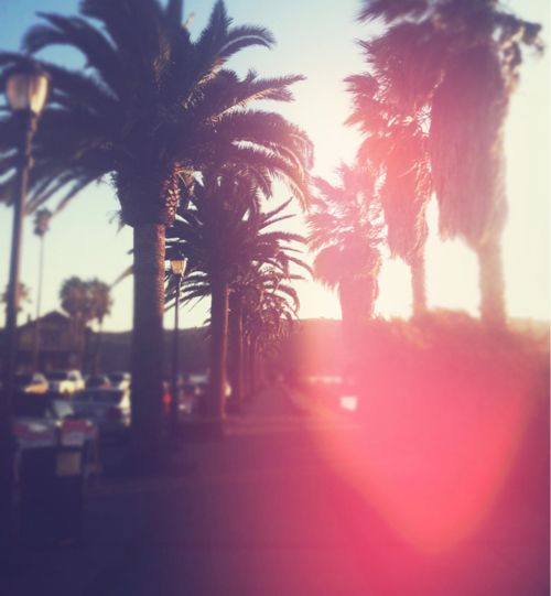 the sun shines brightly behind palm trees