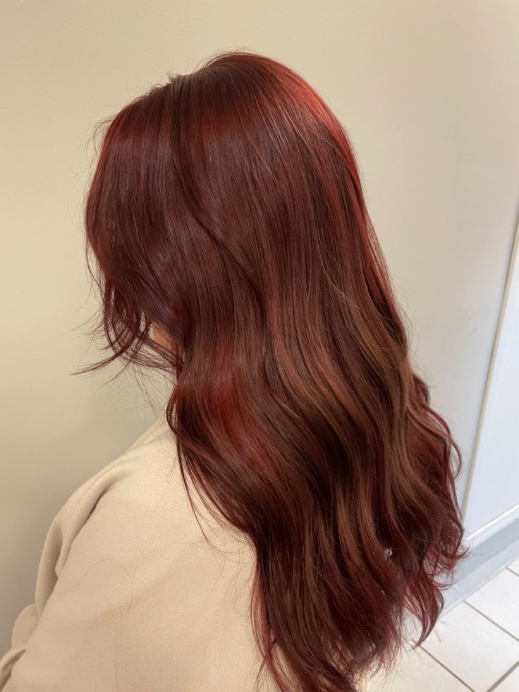 Medium Brown With Red Tones, Light Brown Hair Dyed Red, Candlelit Hair Color, Mohagany Red Brown Hair Color, Sangria Red Hair, Brown Red Hair Aesthetic, Asian Reddish Brown Hair, Strawberry Burnett Hair, Soft Cinnamon Hair Color