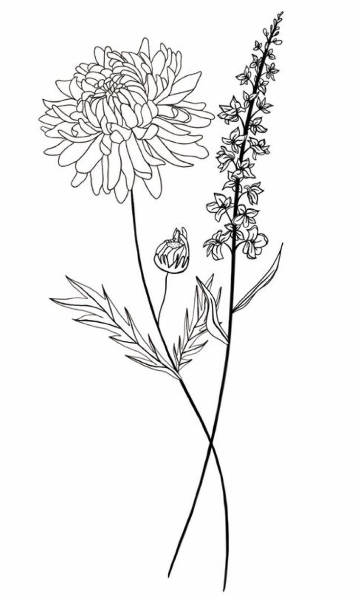 a black and white drawing of some flowers