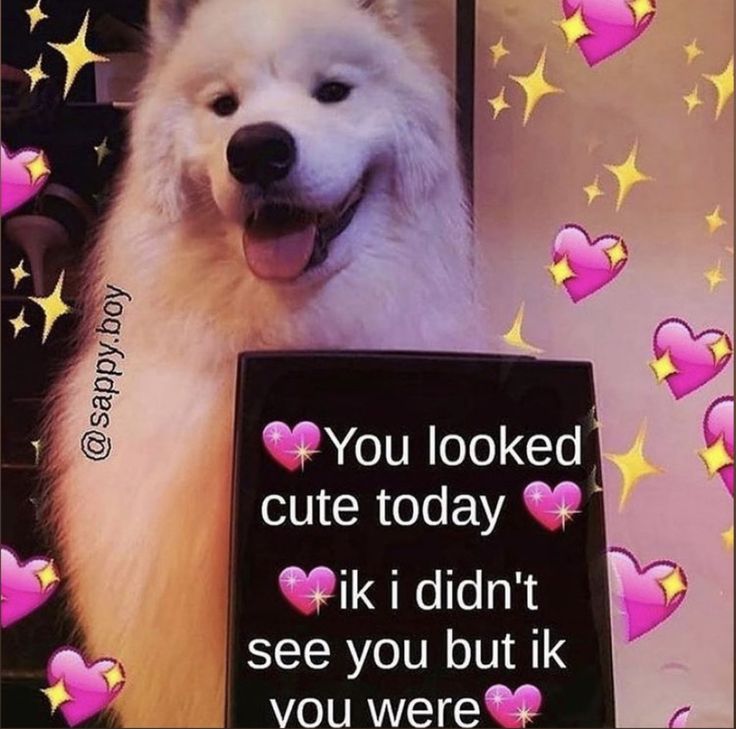 a white dog standing next to a sign with hearts on it