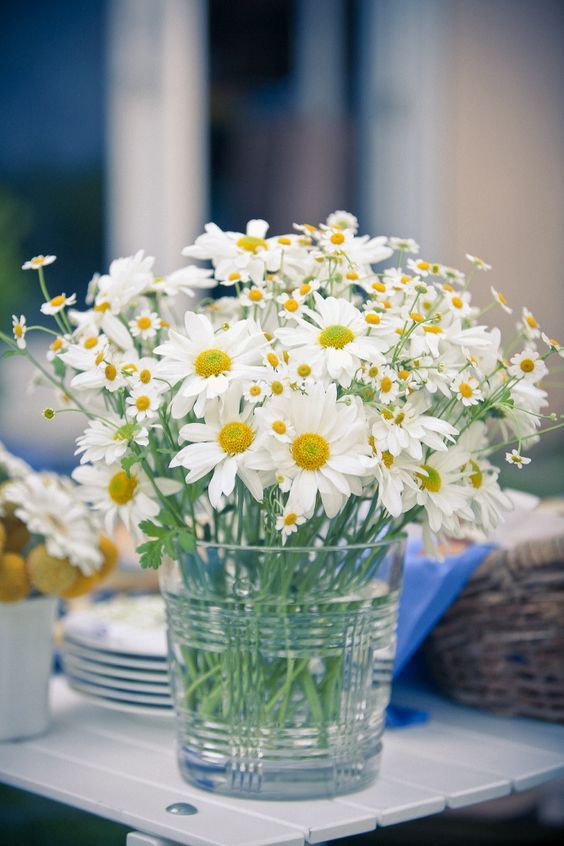 white daisies in a glass vase on a table