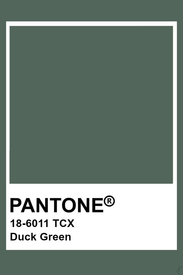 pantone's duck green color is shown