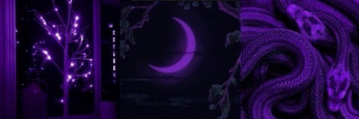 a purple background with the moon and tree branches in front of an open door at night