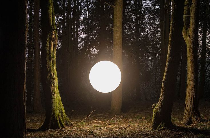 the light is shining through the trees in the dark forest with no one around it