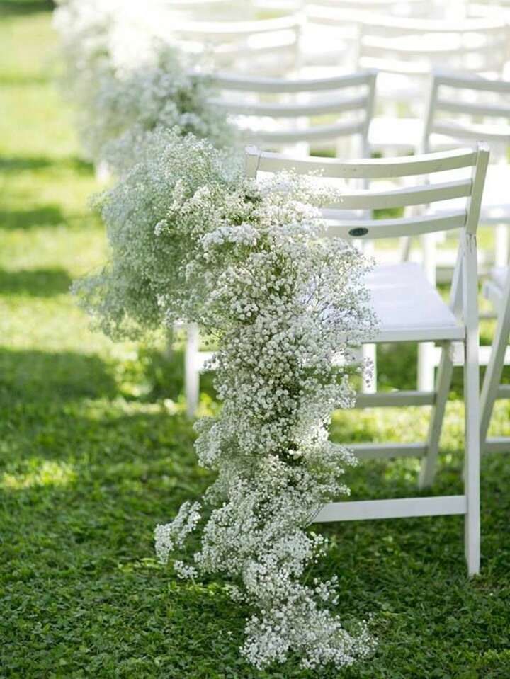 white chairs lined up in the grass with baby's breath flowers growing on them