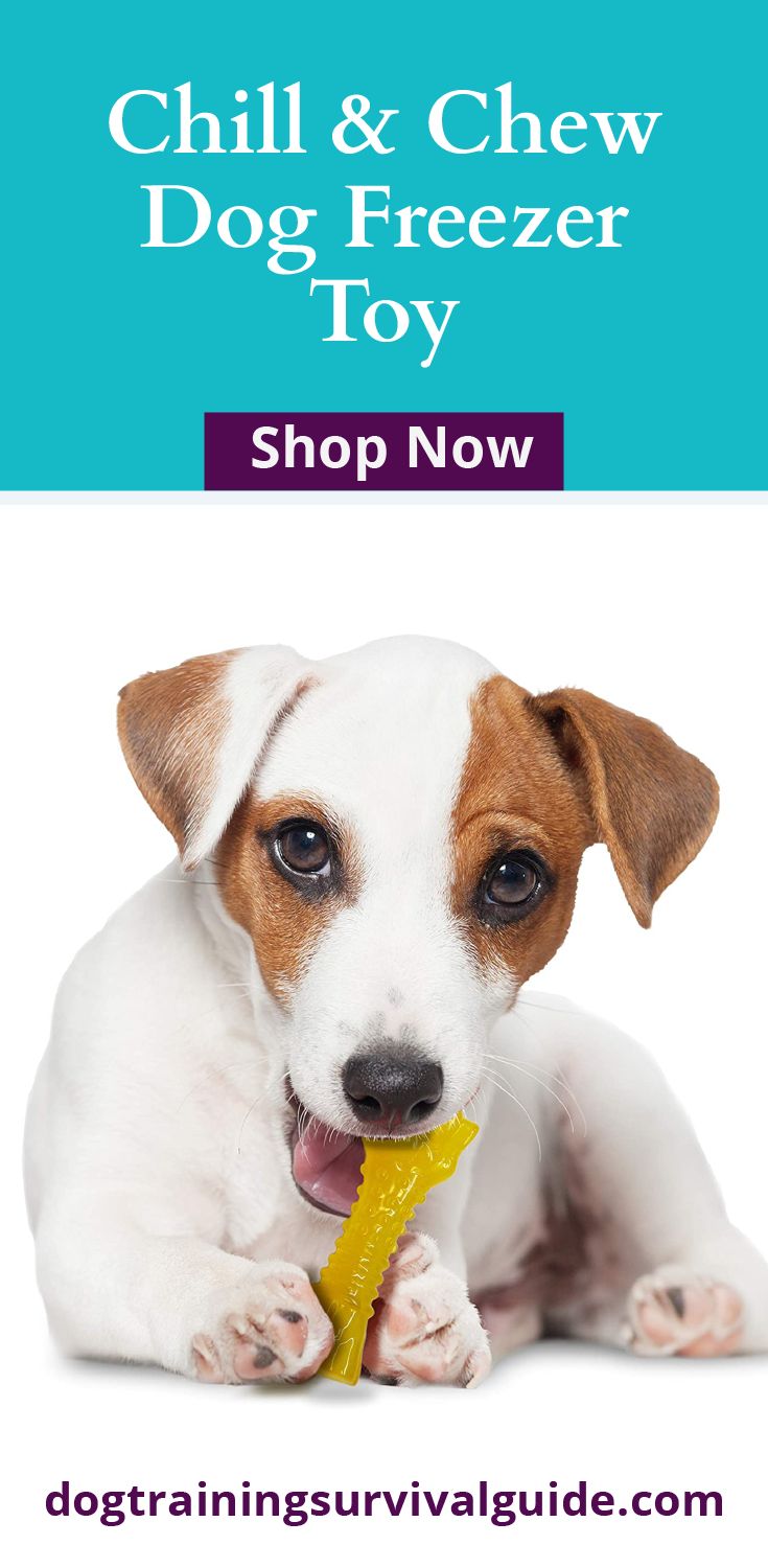 a dog chewing on a toy with the caption chill and chew dog freezer toy shop now