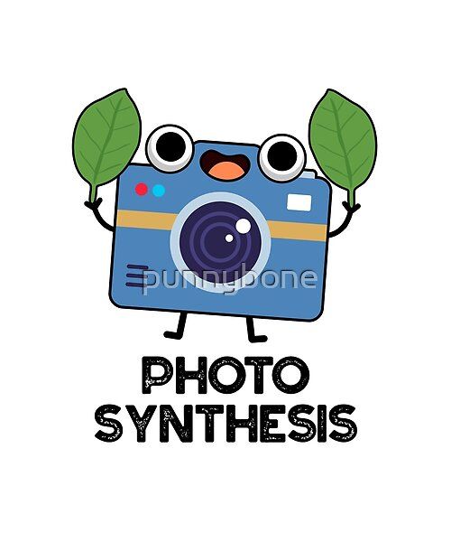 a camera with leaves on it and the words photo synthetics in black text below