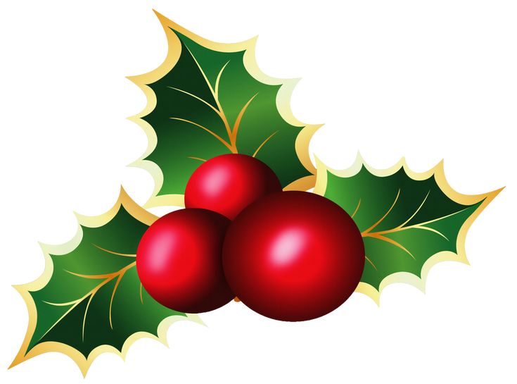 two red christmas balls with green leaves on them, hanging from the side of a white background