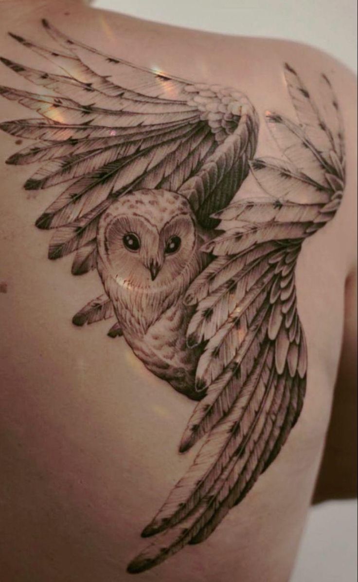 an owl tattoo on the back of a woman