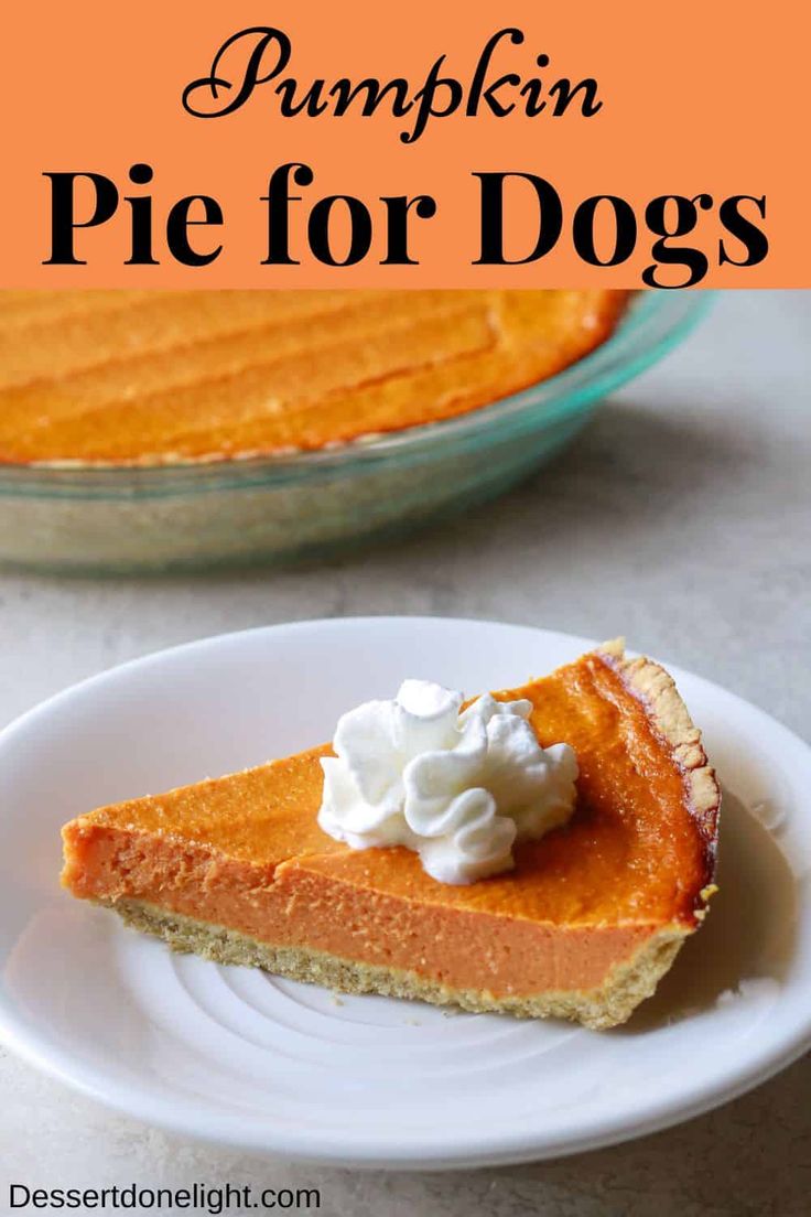 a slice of pumpkin pie on a plate with whipped cream in the middle and text overlay