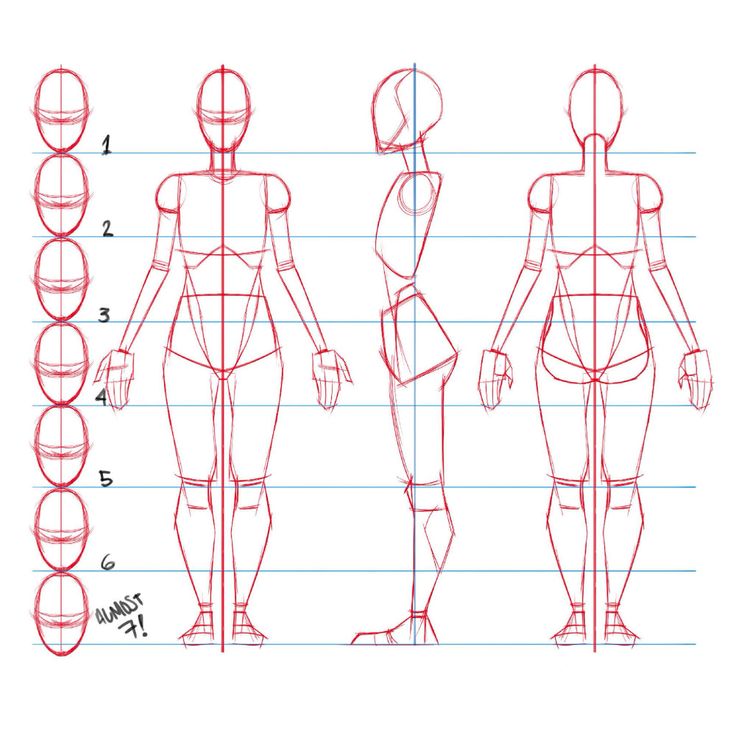 how to draw the human figure step by step