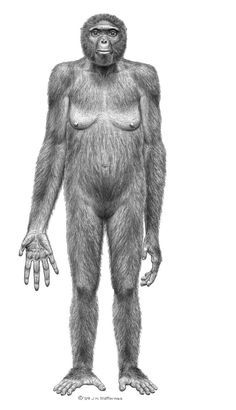 a drawing of a gorilla standing in front of a white background with his hands out