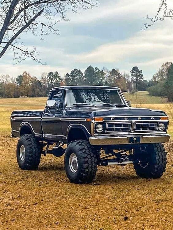 a black truck parked in the middle of a field