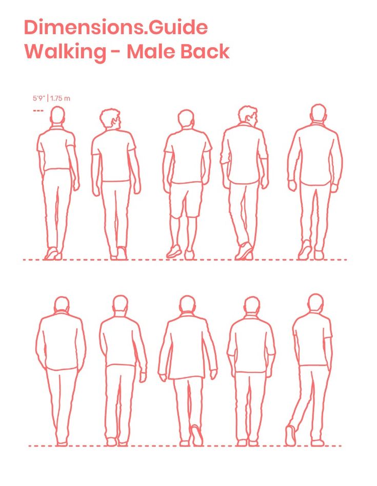 the instructions for walking male back