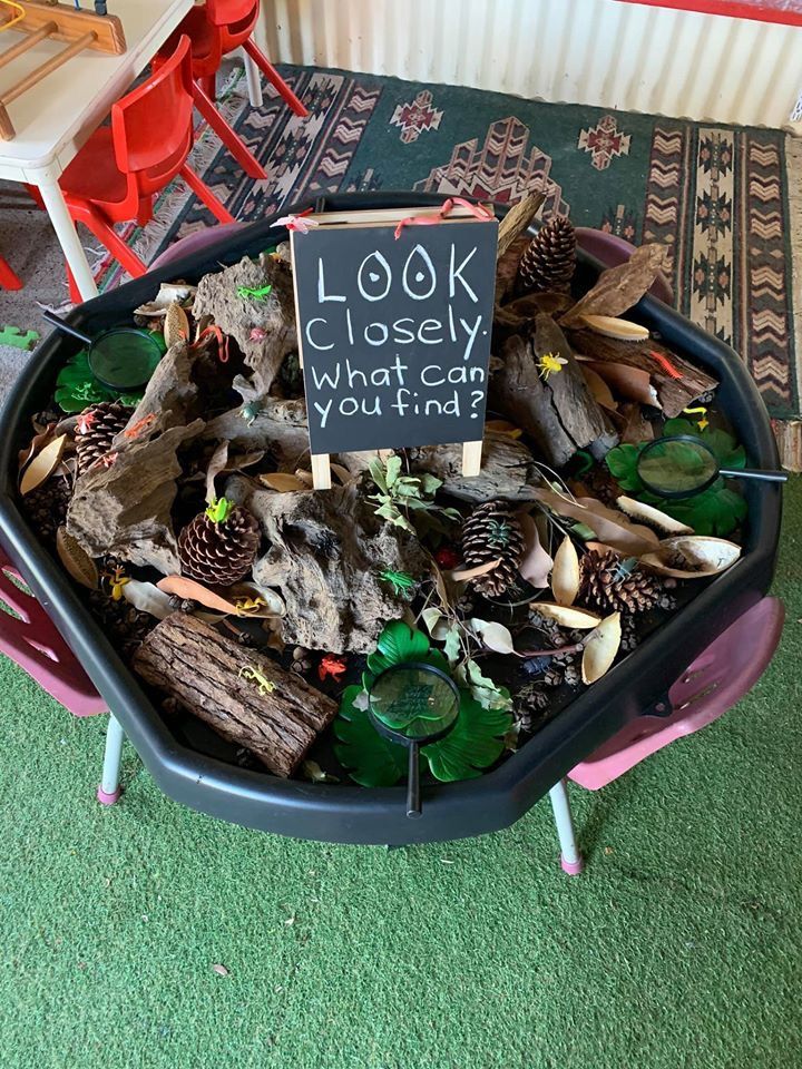 a wheelbarrow filled with lots of different types of plants and rocks that says look closely what can you find?