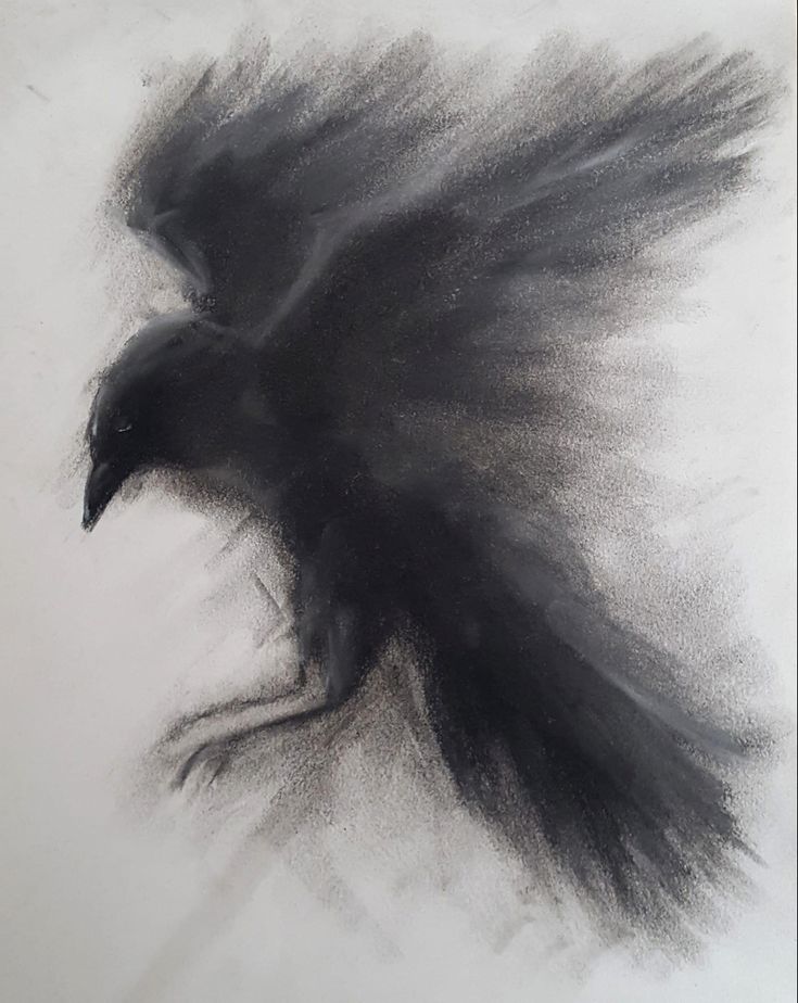 a drawing of a black bird flying through the air