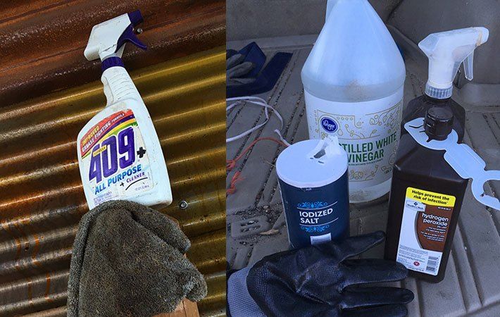 two pictures side by side one with cleaning products and the other with gloves