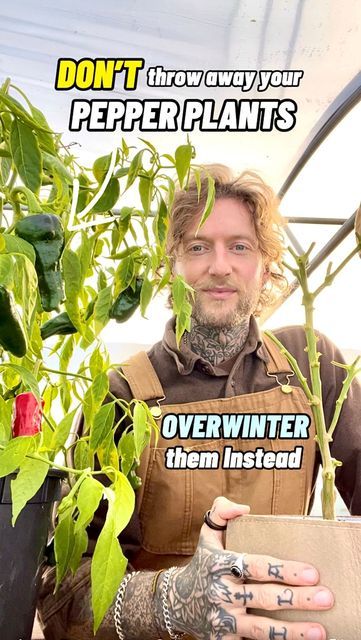 a man with tattoos on his arm holding a box in front of plants and flowers