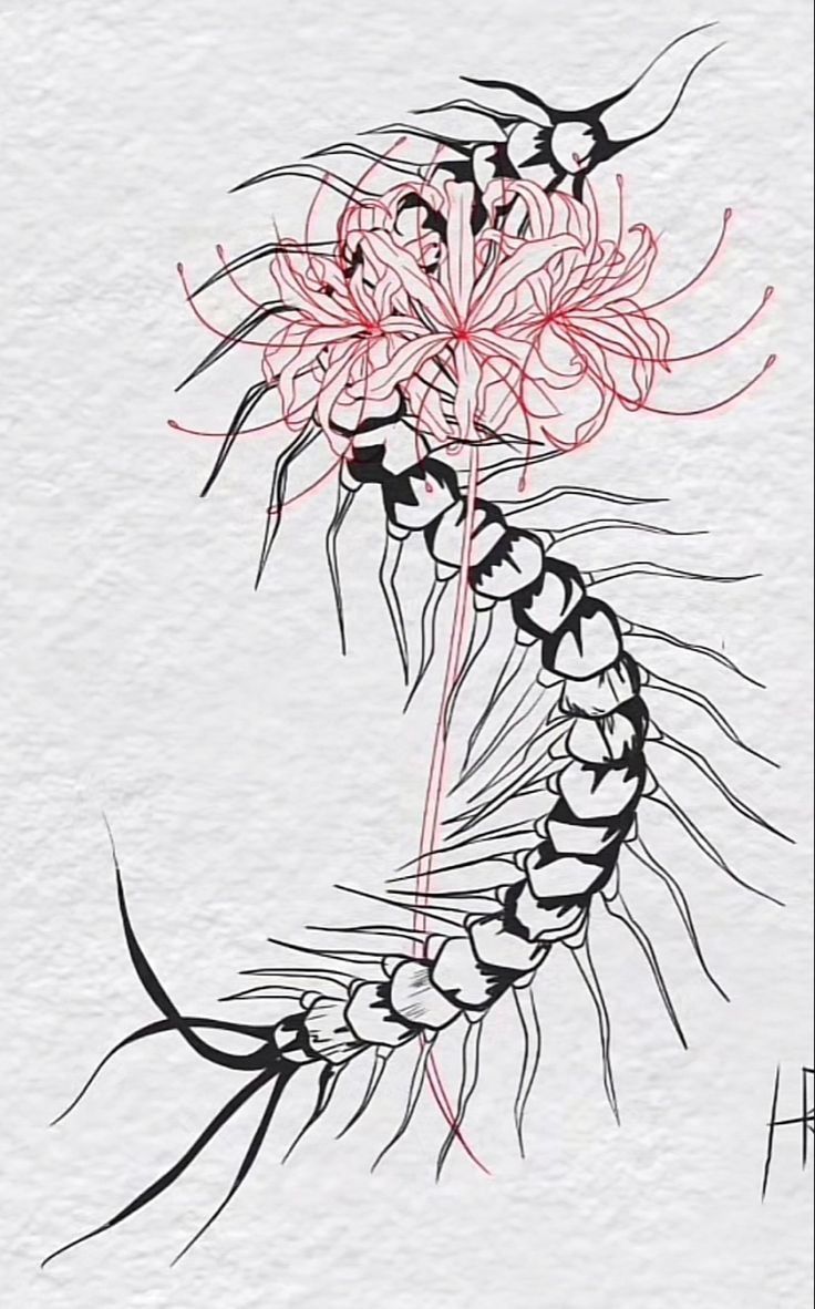 a drawing of a flower on paper with red and black lines in the middle of it