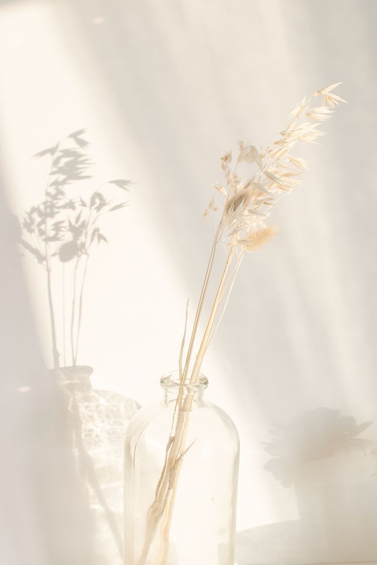 two vases with dried plants in them on a table against a white wall and sunlight coming through the window