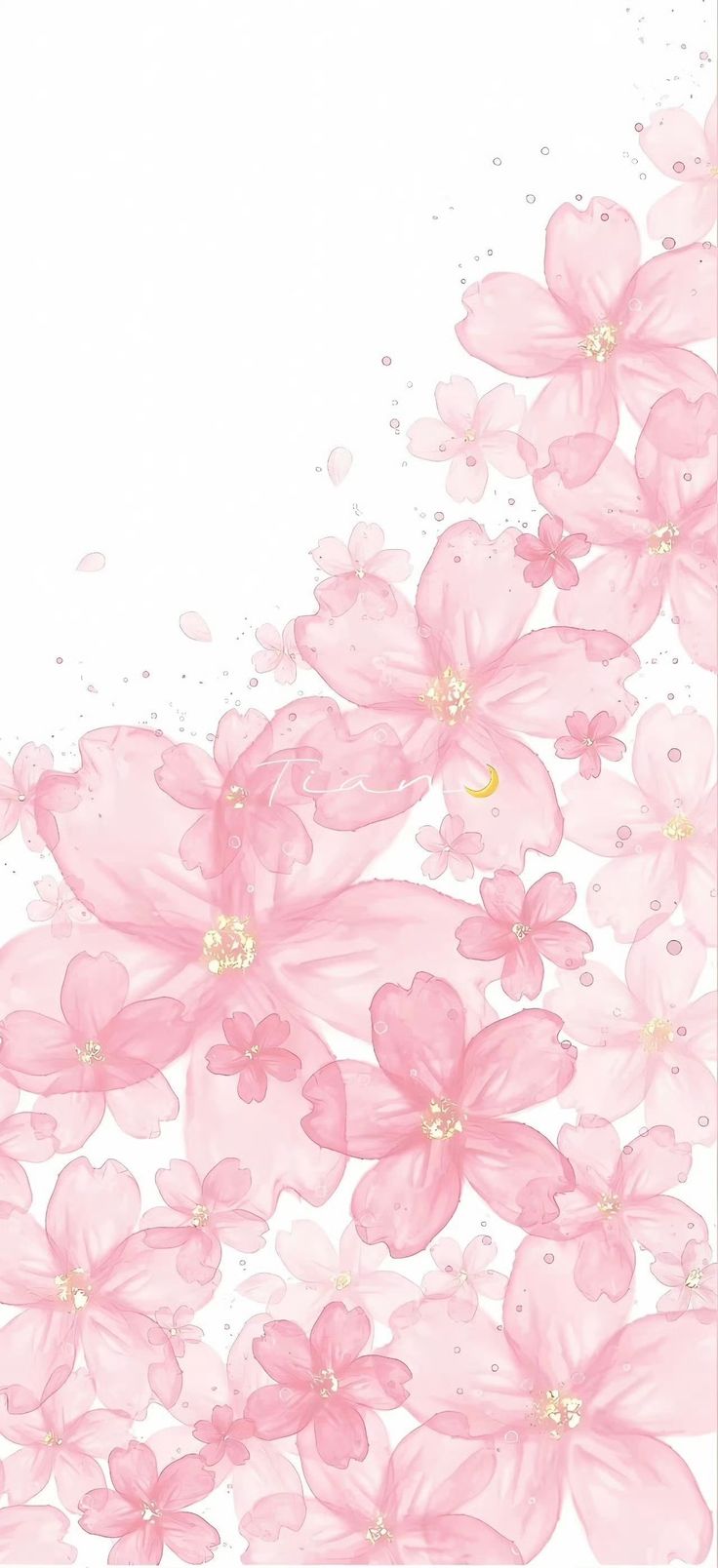 pink flowers on white background with space for text