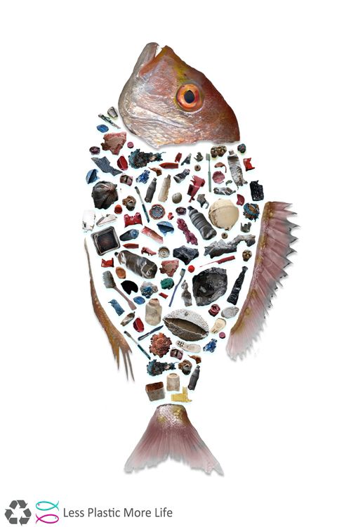 a fish with many different things on it's body and the words less plastic more life