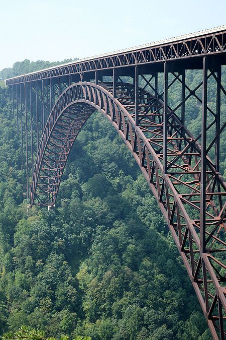 the bridge is very high above the trees