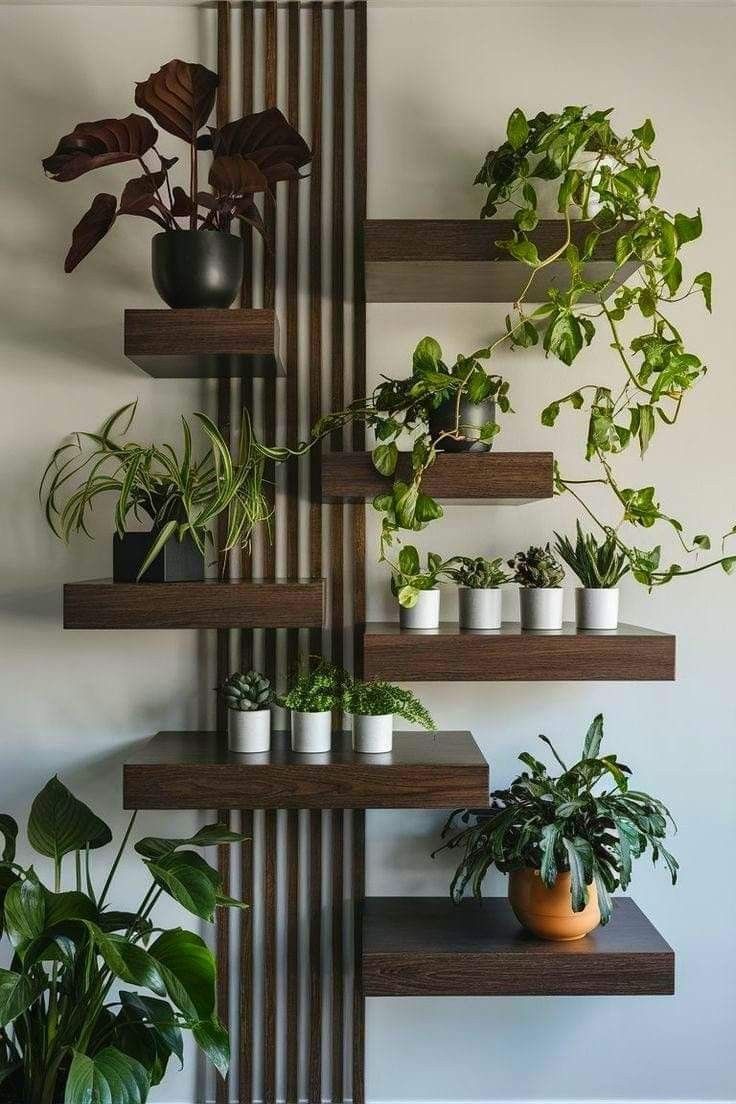 several potted plants are arranged on wooden shelves