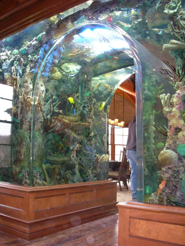 a man standing in front of an aquarium filled with fish