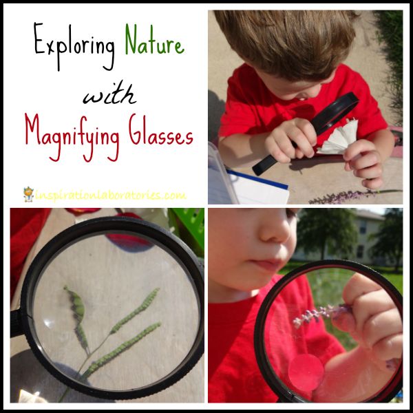 a collage of photos with magnifying glasses and plants in the foreground