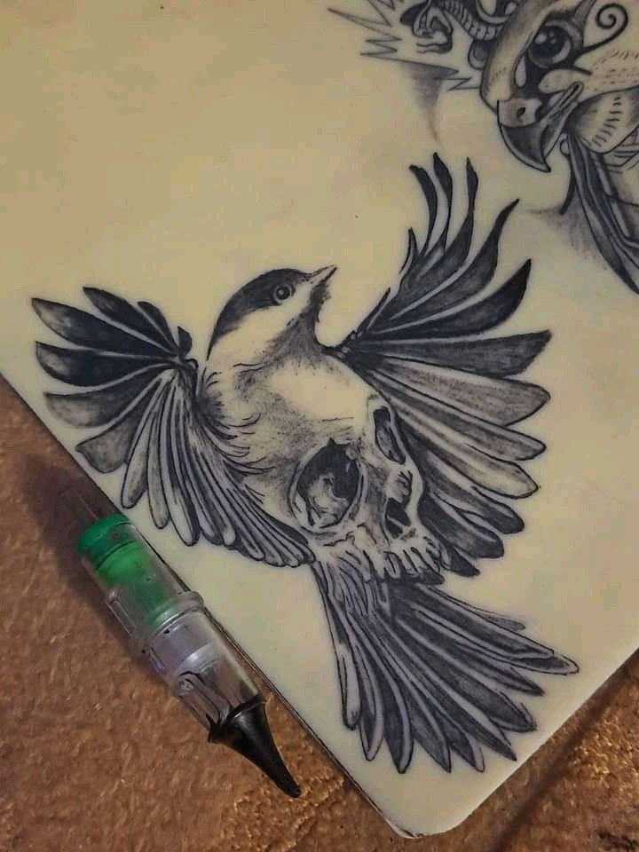 a drawing of a bird with a skull on it