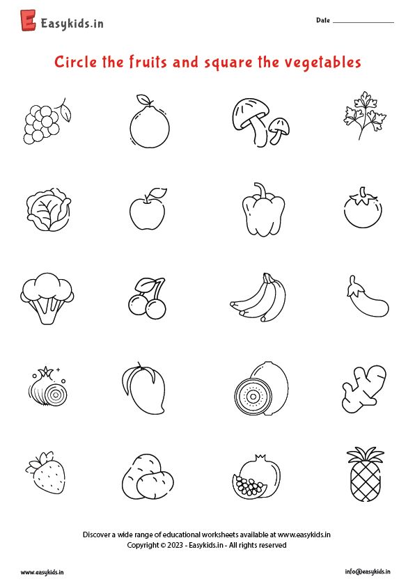 fruits and vegetables worksheet