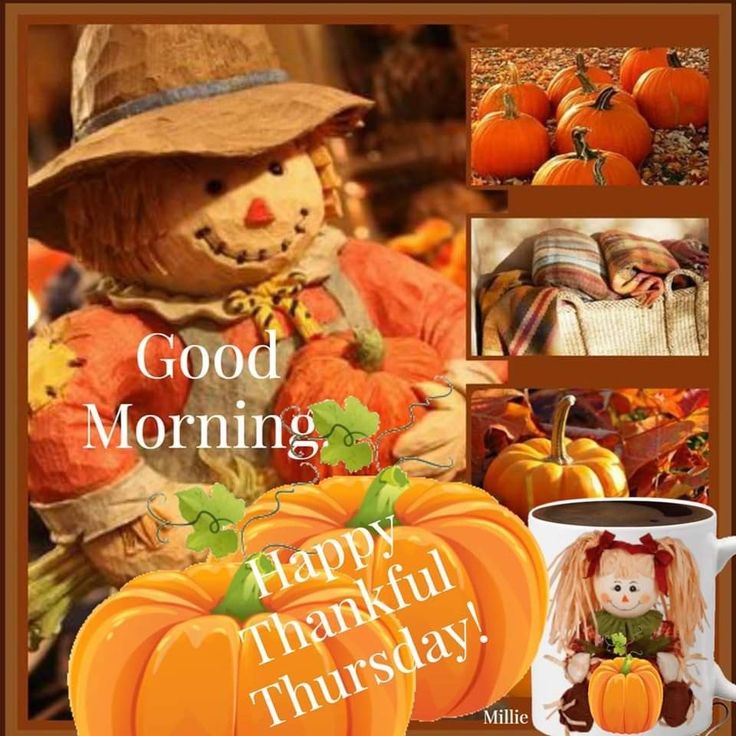 a happy thanksgiving card with pumpkins and a scarecrow on the front, and an image of a teddy bear