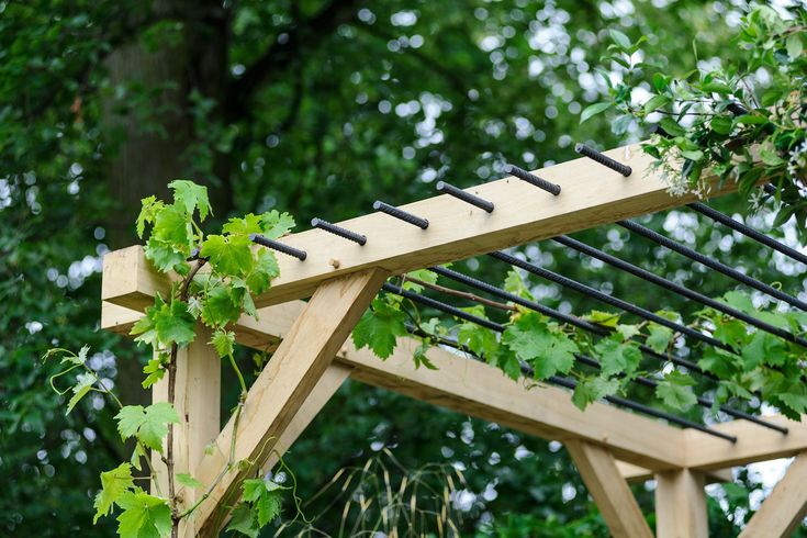 a wooden structure with vines growing on it's sides in front of some trees