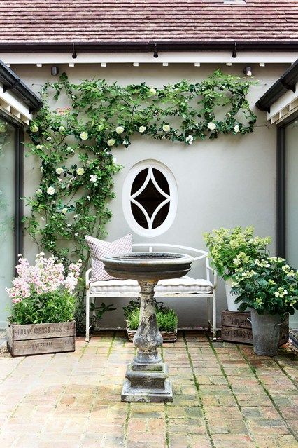 an outdoor garden with white flowers and greenery on the wall, surrounded by potted plants