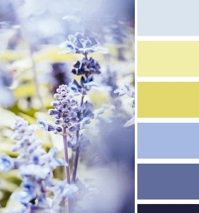 the color scheme is blue, yellow and white with some flowers in it's center