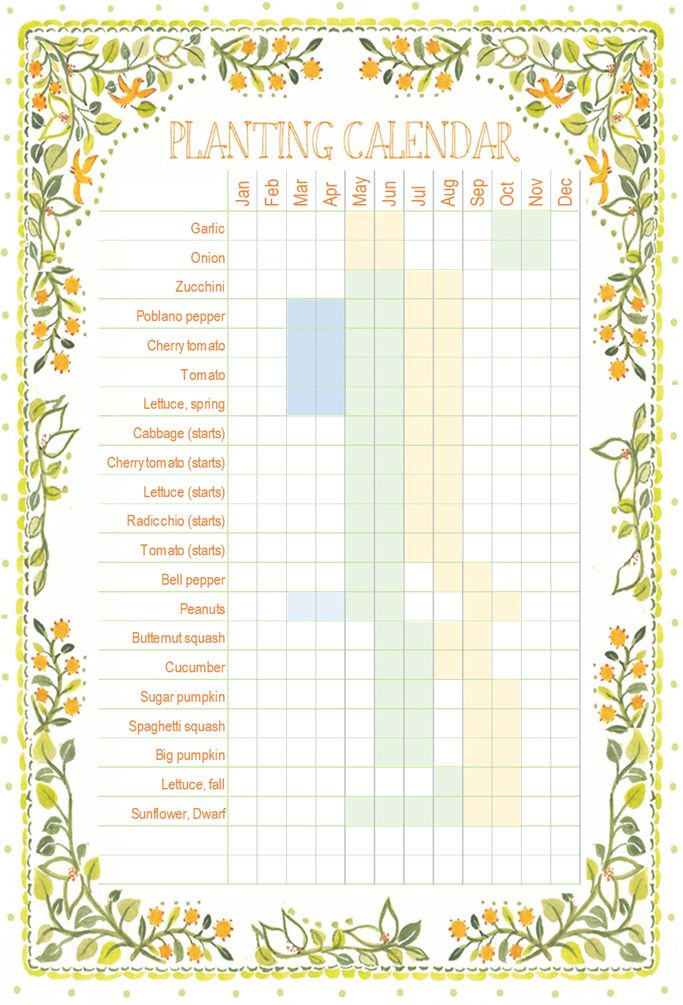 a printable calendar with orange flowers and green leaves on the border, in chinese