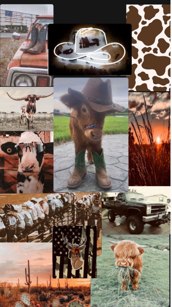 a collage of pictures with animals, horses, and other things in it's center